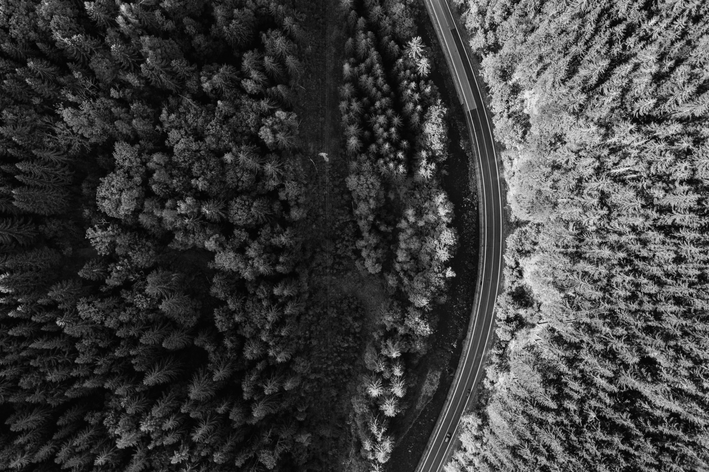Aerial view of a road curving through a dense forest