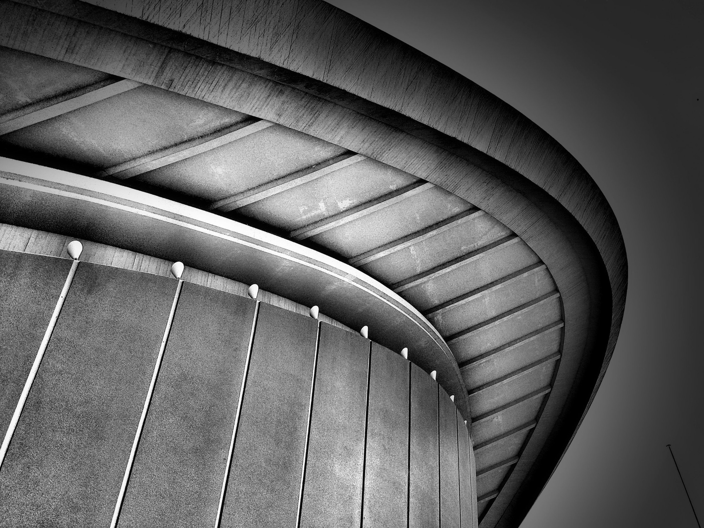 Sweeping curved concrete roof against a grey sky